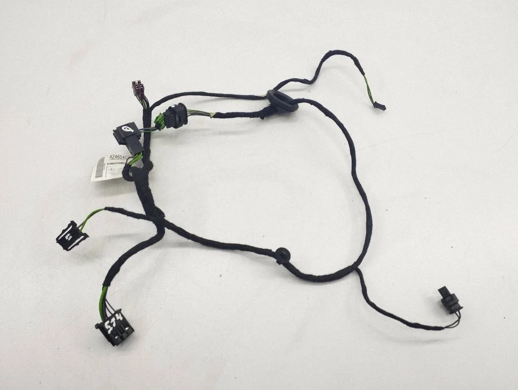 Front door wiring loom A2465402005