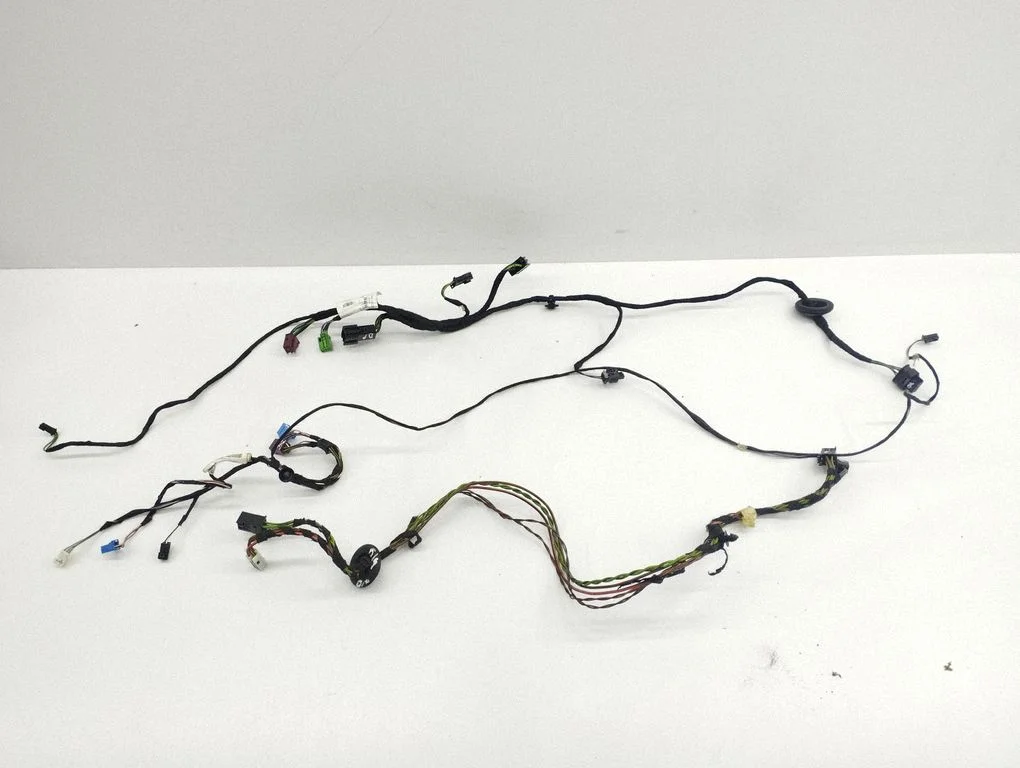 Front door wiring loom A2465402005