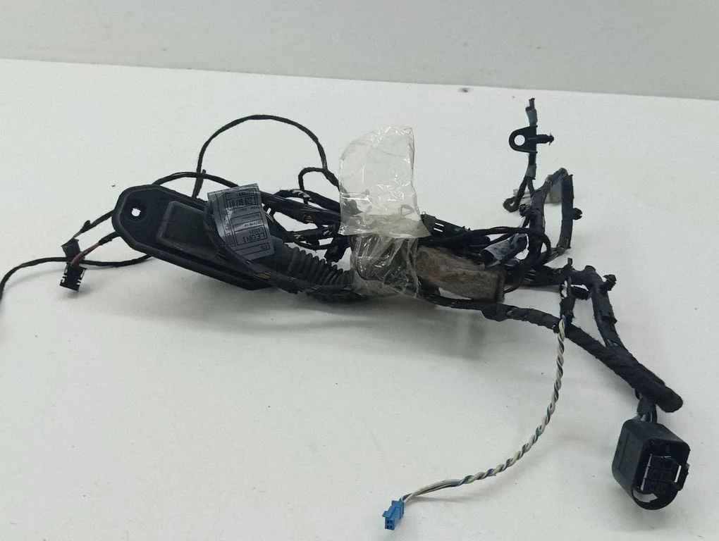 Front door wiring loom 140107