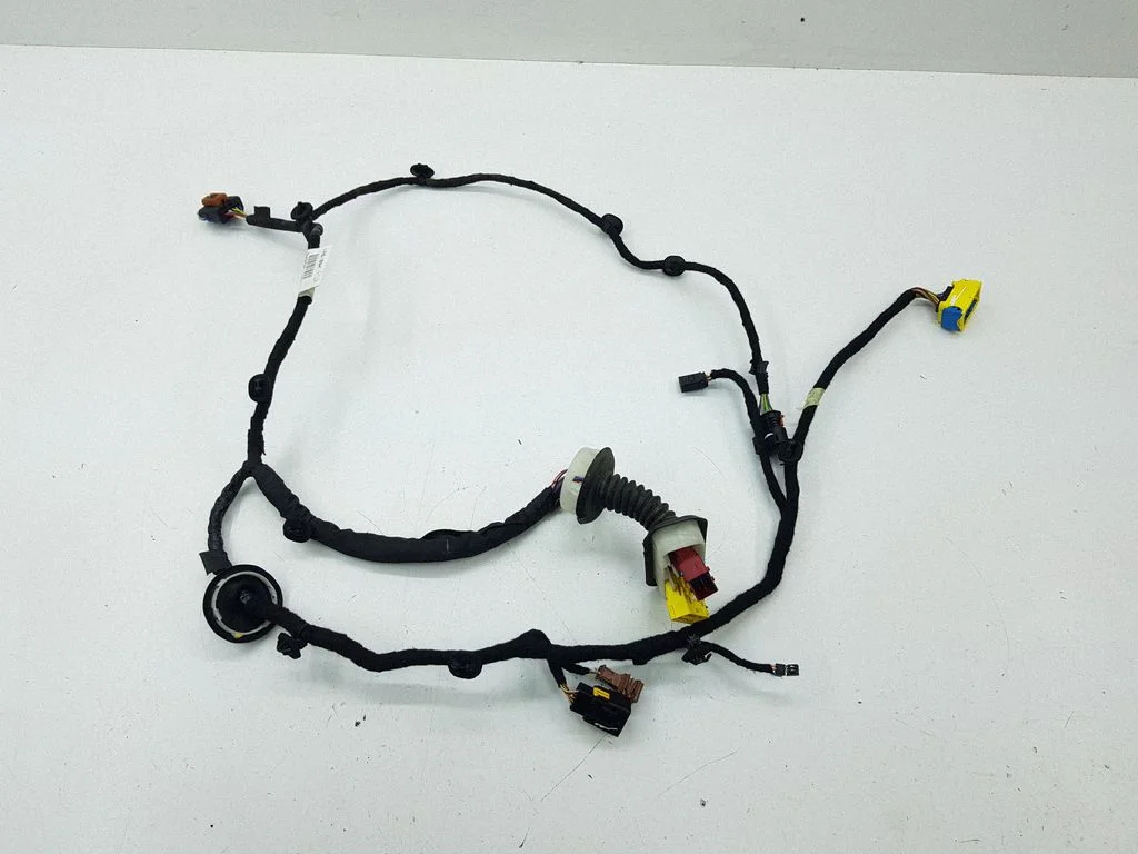 Front door wiring loom 9807915980