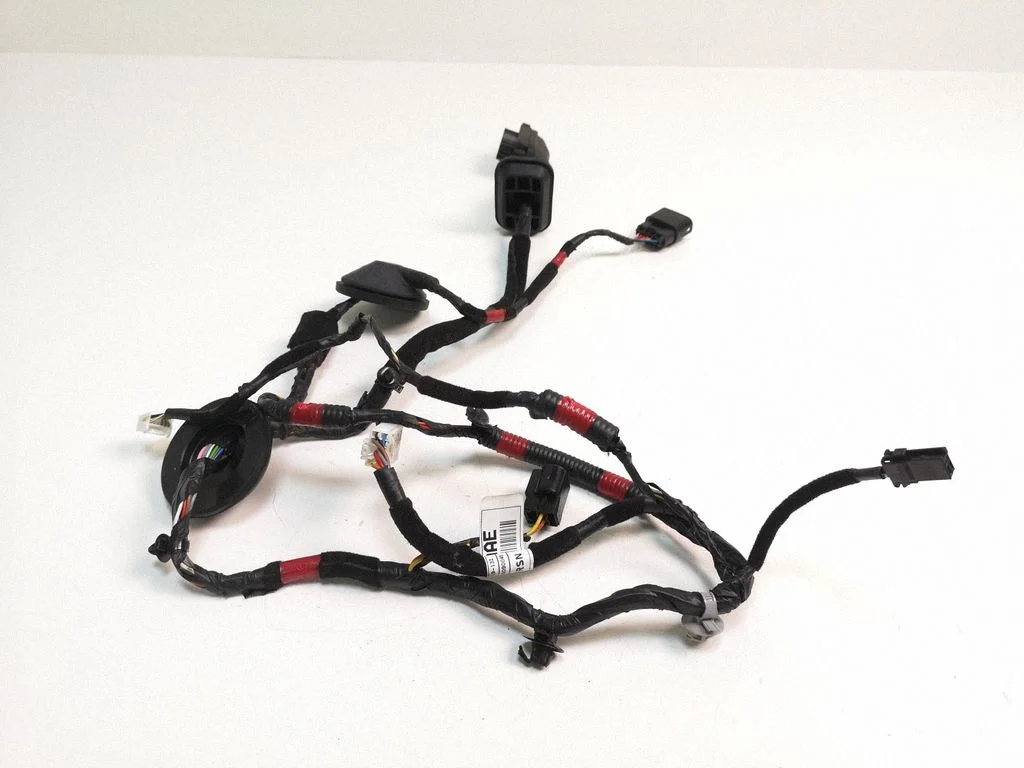 Front door wiring loom 91610A6050
