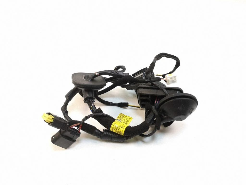 Front door wiring loom 916103Z100