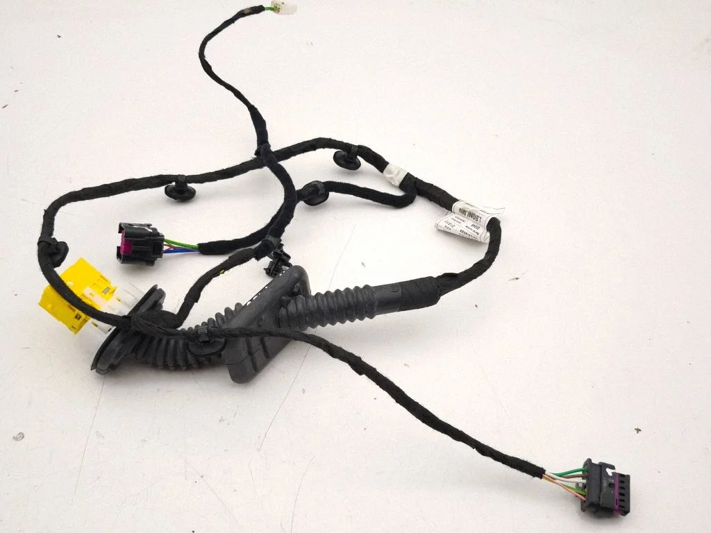 Rear door wiring loom 9660015100