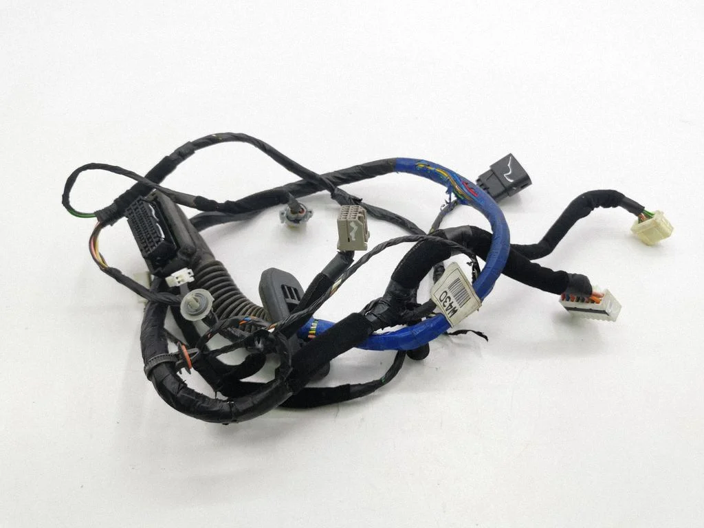Front door wiring loom 916003U340