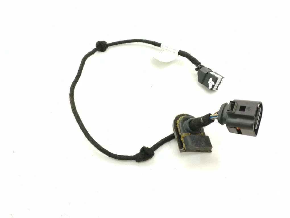 Front door wiring loom 8Z0971841F