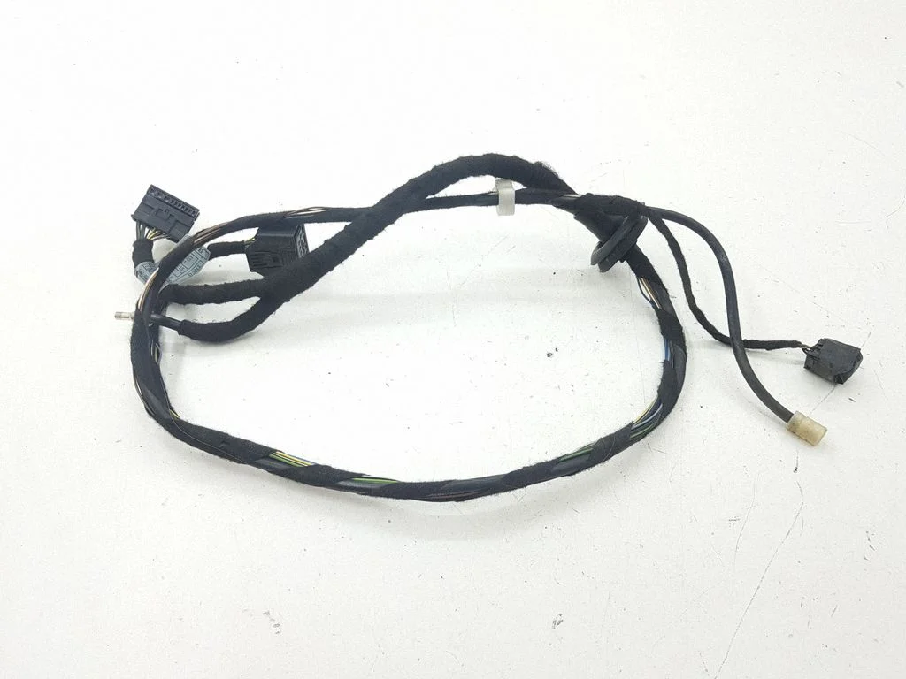 Front door wiring loom 6913125