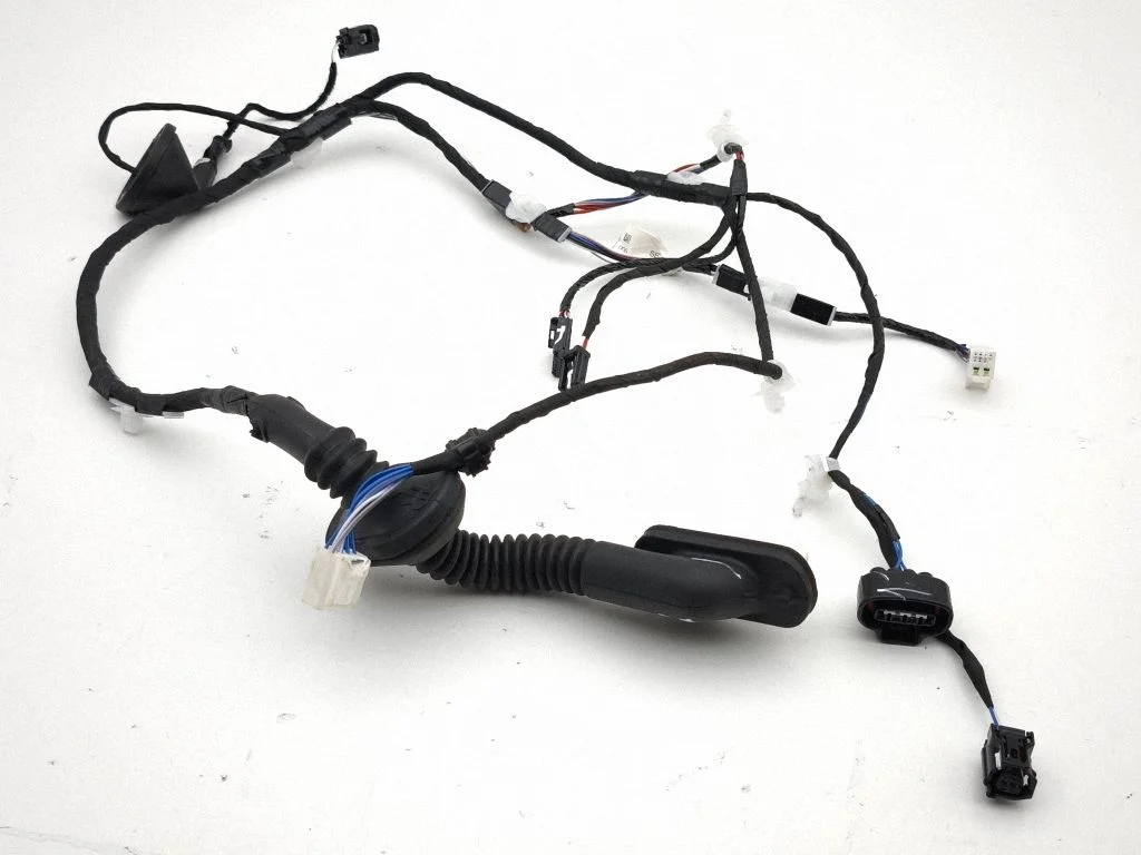 Rear door wiring loom 82153F4250D