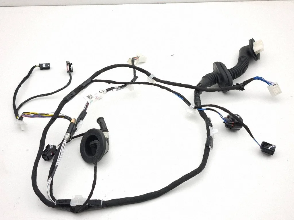 Rear door wiring loom 82154F4250D