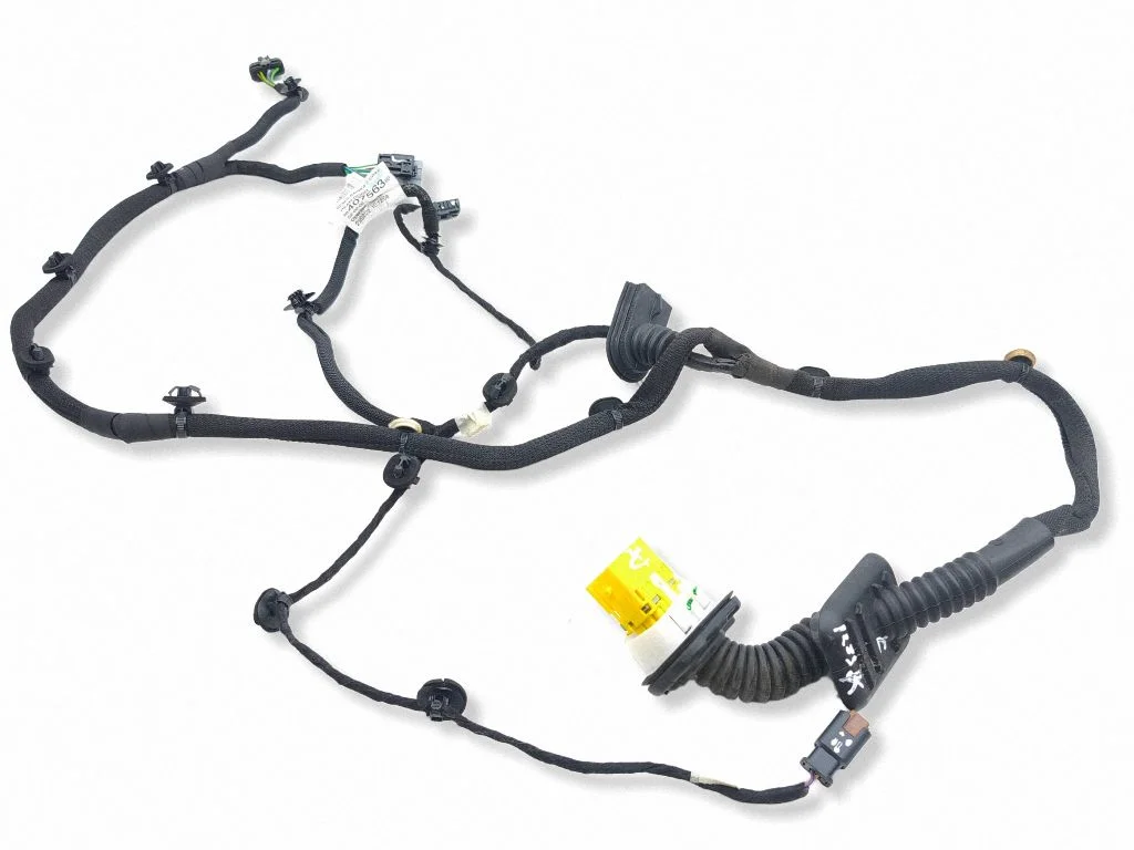 Rear door wiring loom 9840756380