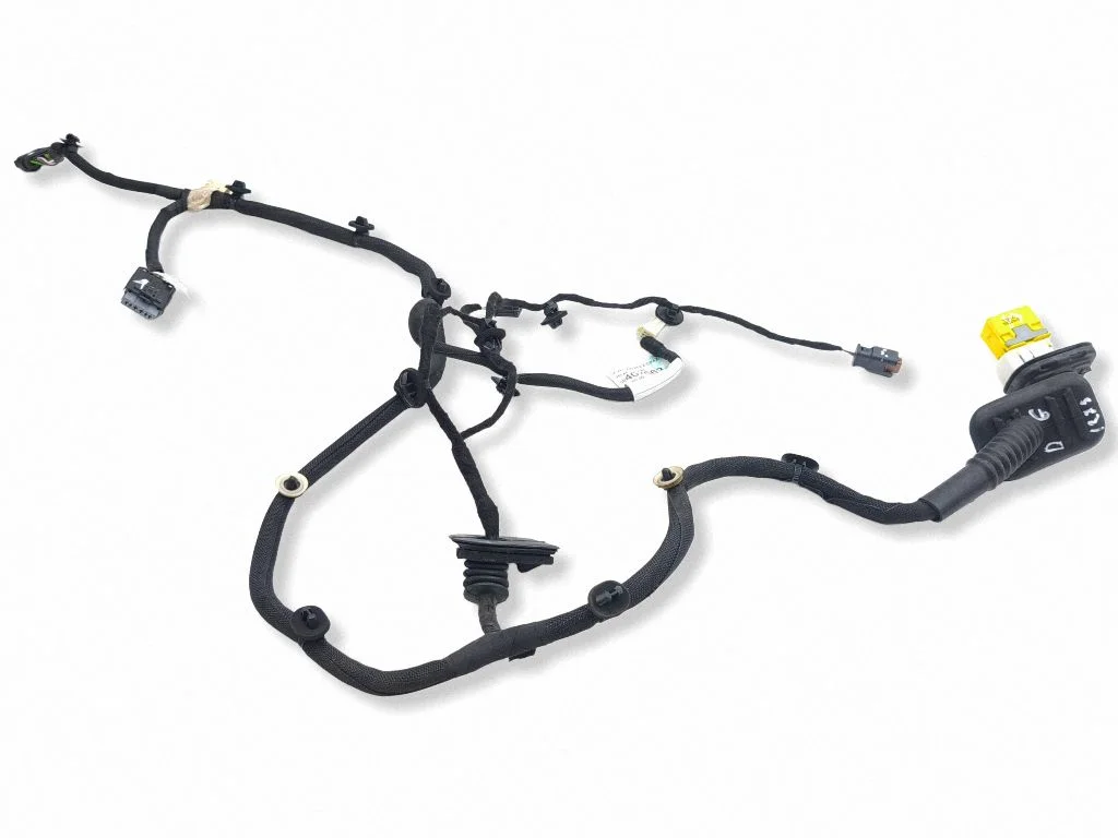 Rear door wiring loom 9840756380