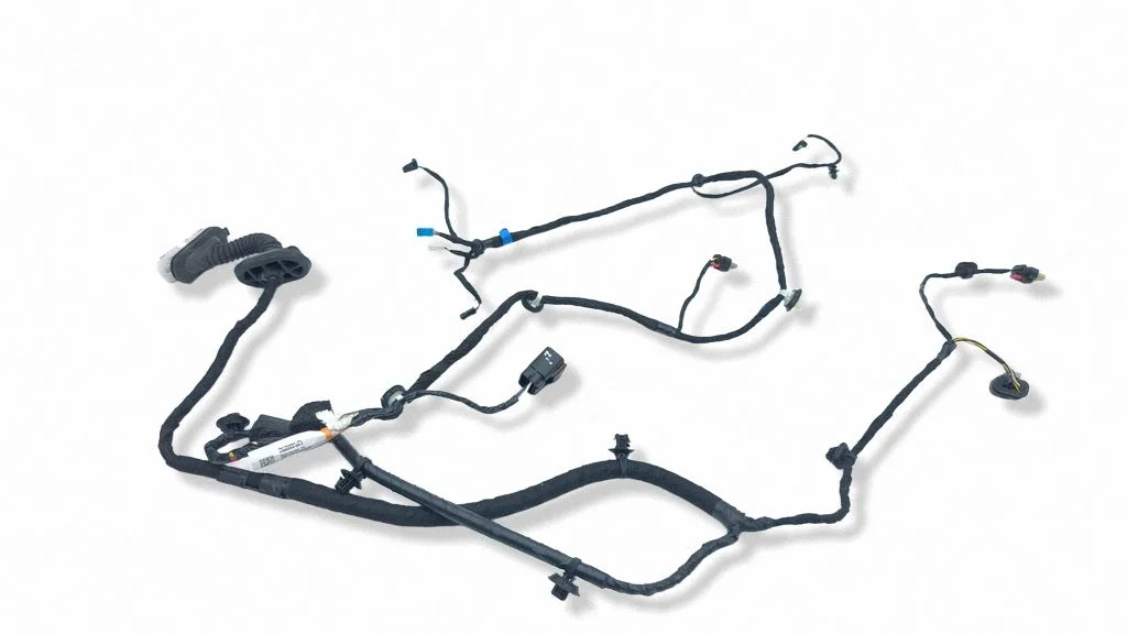 Rear door wiring loom 148905400E