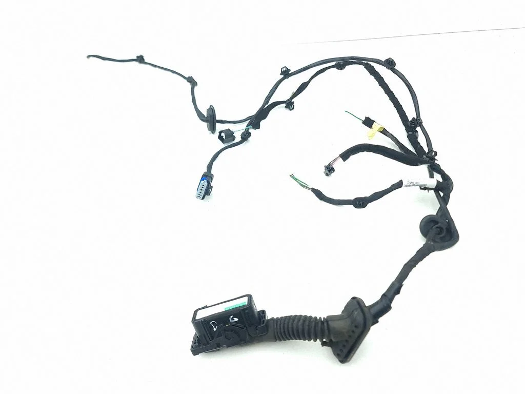 Rear door wiring loom 241264368R