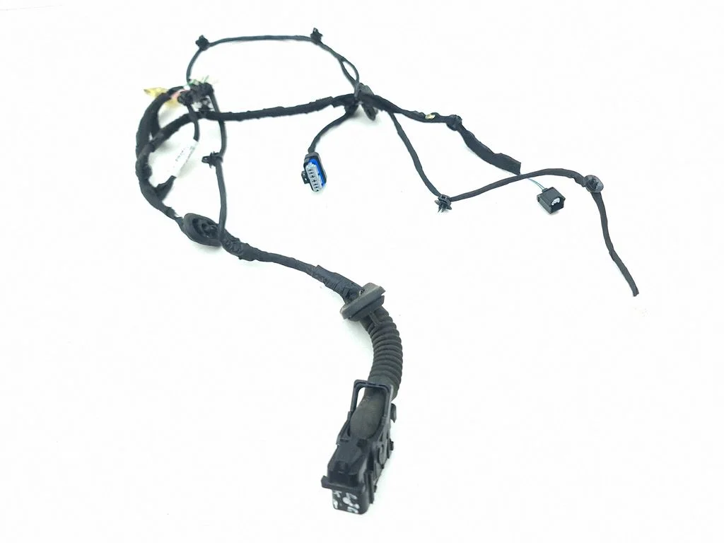 Rear door wiring loom 241271881R