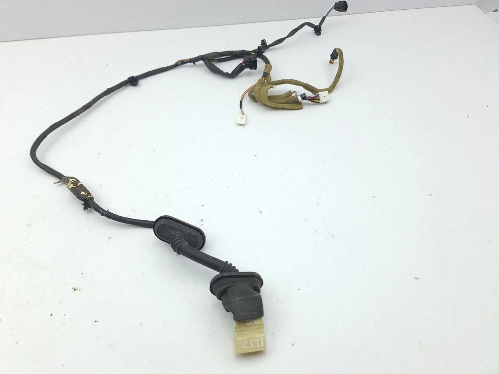 Rear door wiring loom – right