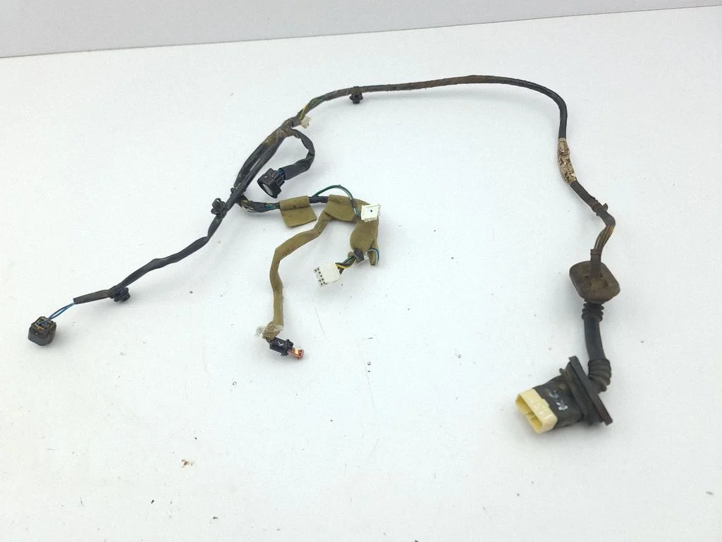Rear door wiring loom 8512A416