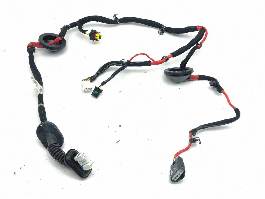Rear door wiring loom 91650