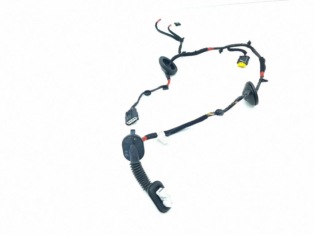 Rear door wiring loom 91650G4020
