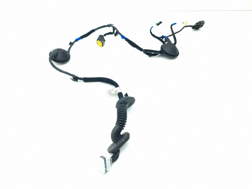 Rear door wiring loom 91660G4020