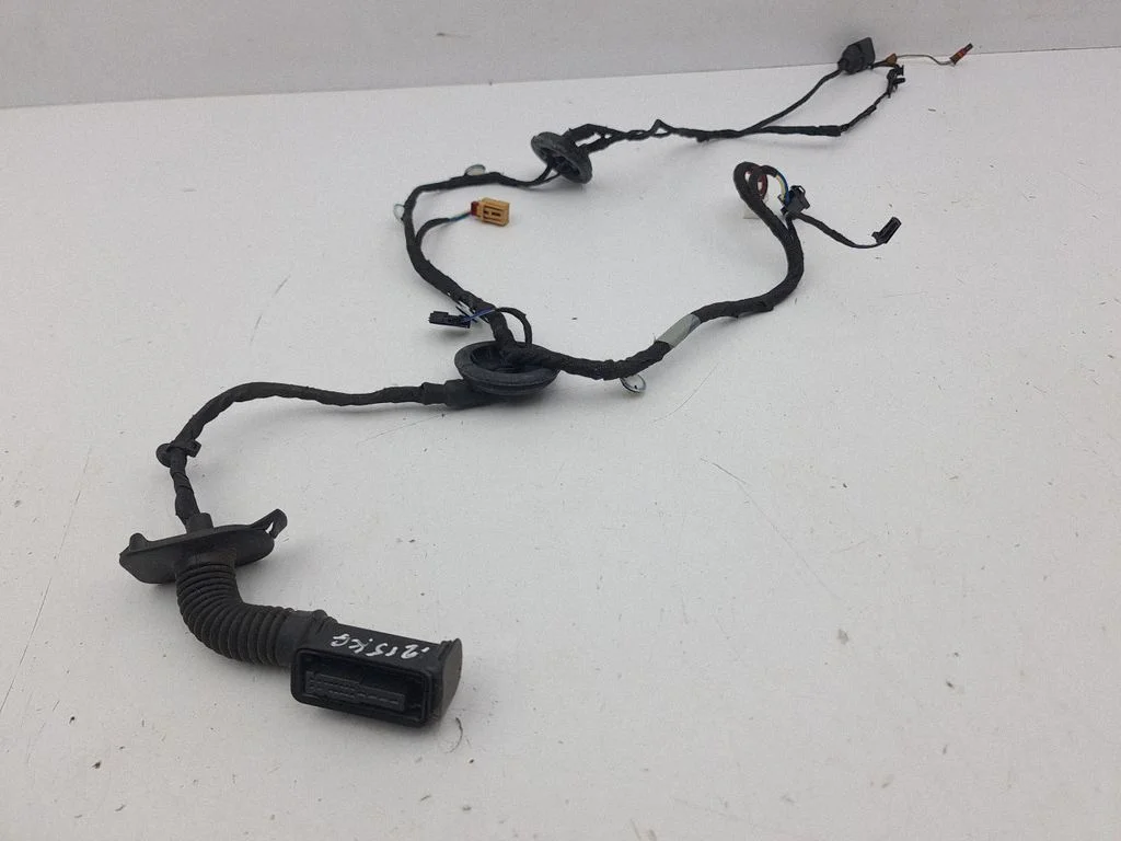 Rear door wiring loom – left