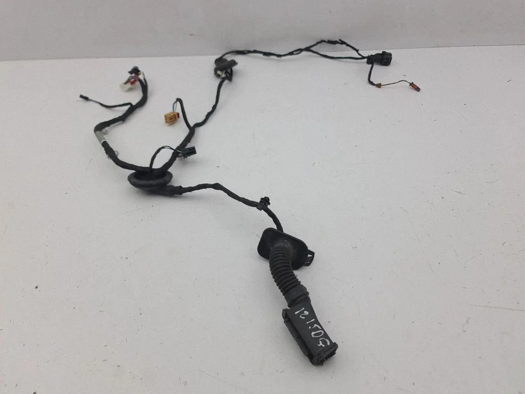 Rear door wiring loom – right