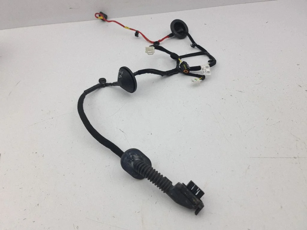 Rear door wiring loom 91620J7020