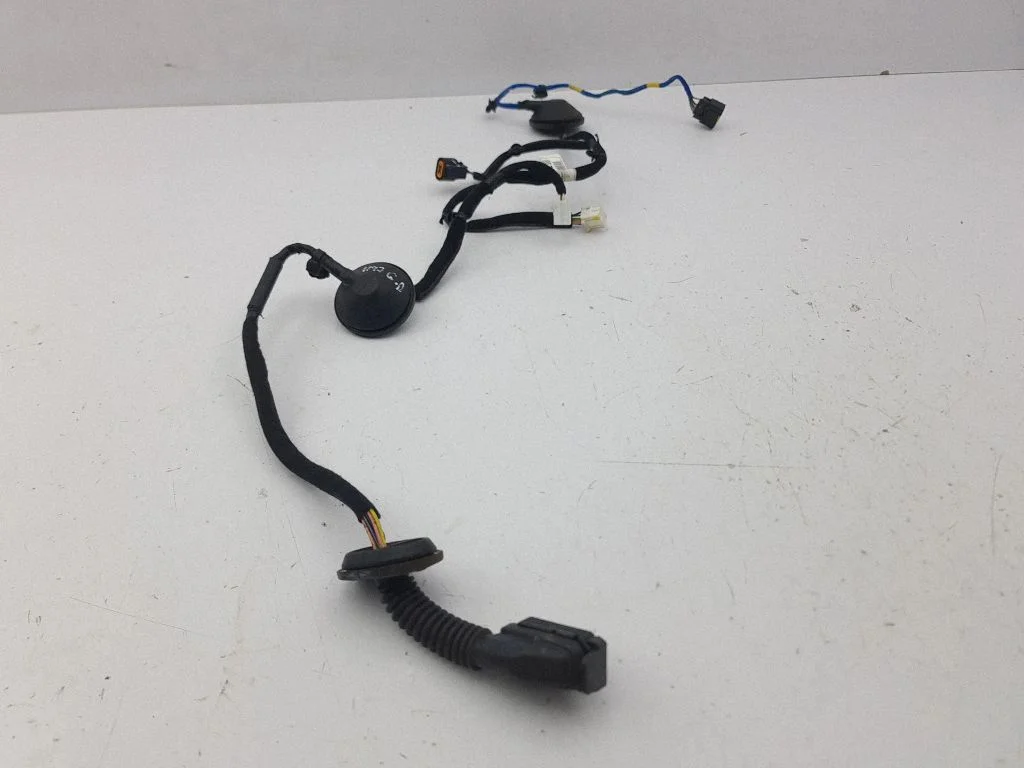 Rear door wiring loom 91630J7020