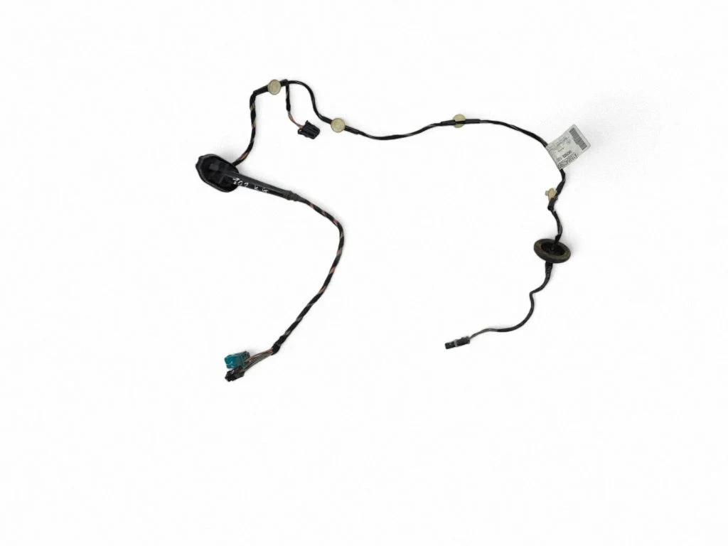 Rear door wiring loom A1695403905