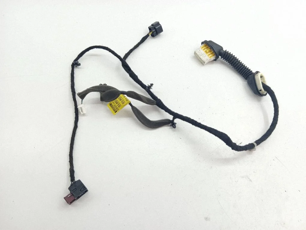 Rear door wiring loom 20980140