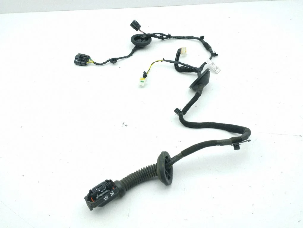 Rear door wiring loom 91650F1020