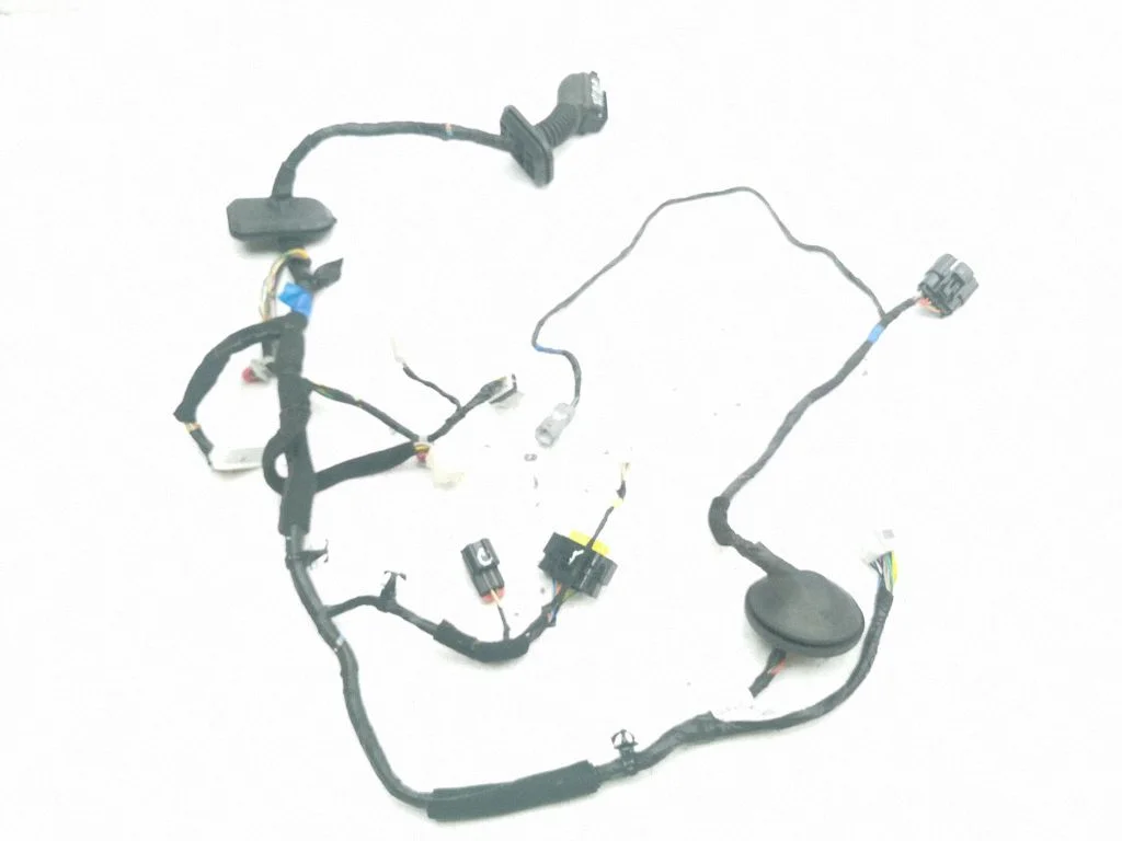 Tagaukse juhtmestik 916002W880