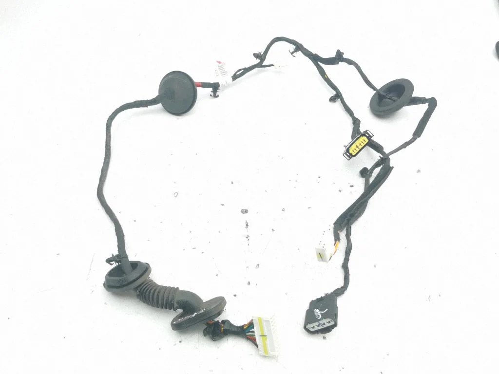 Tagaukse juhtmestik 916502W031