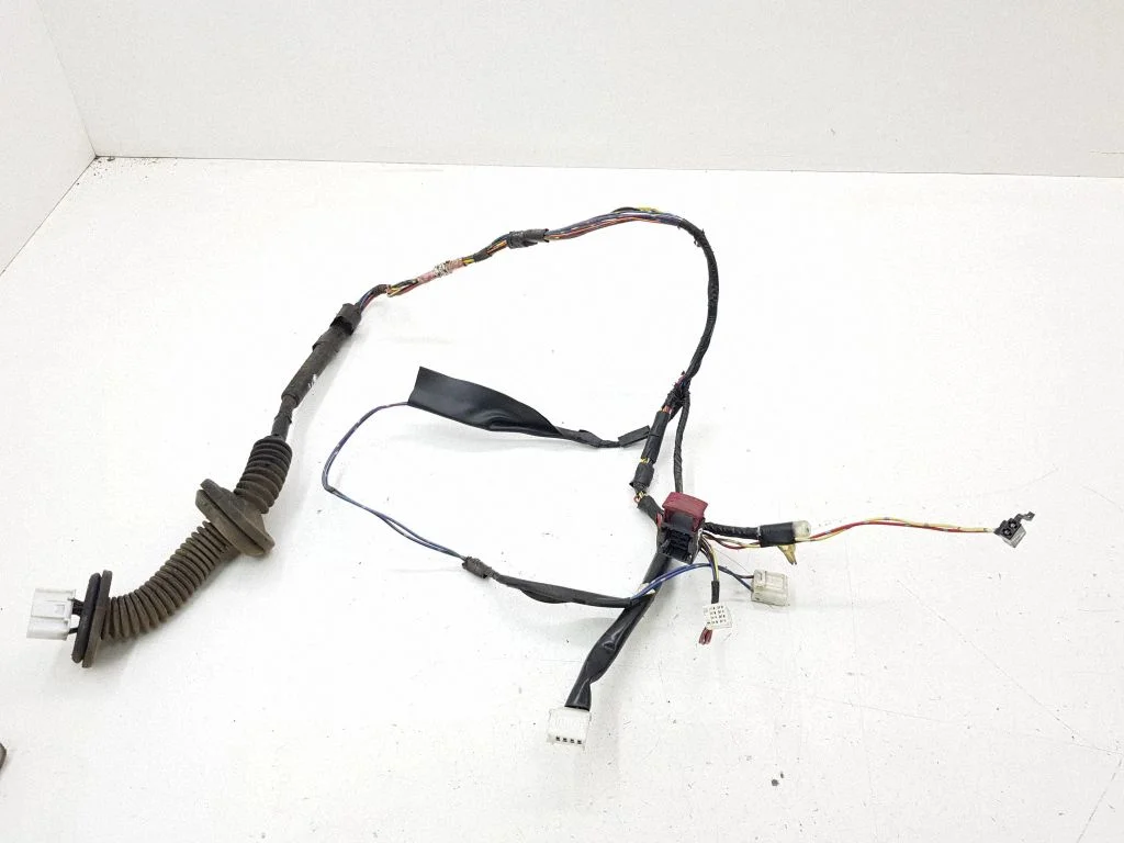 Rear door wiring loom – left