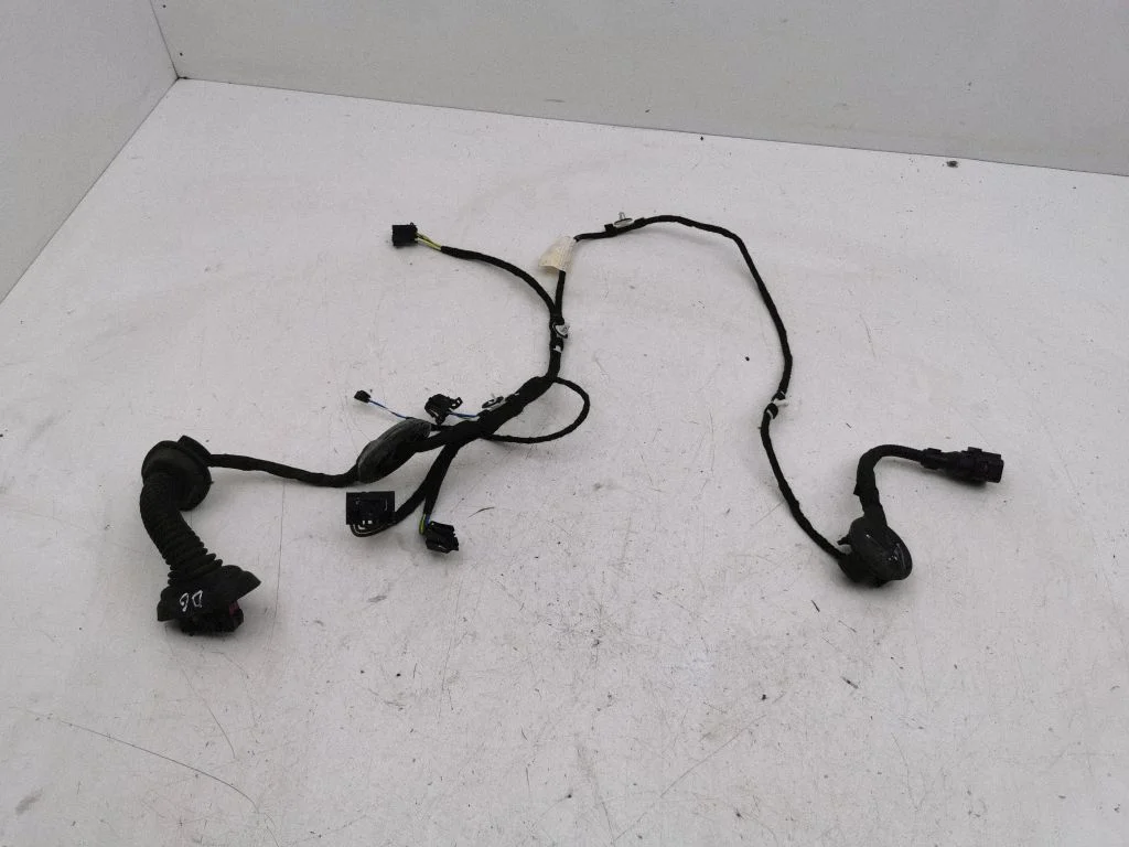 Rear door wiring loom – right
