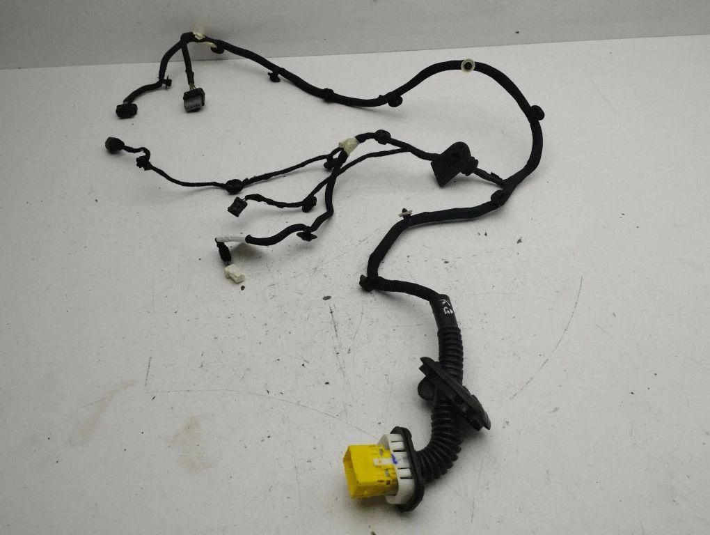 Rear door wiring loom 9840756380