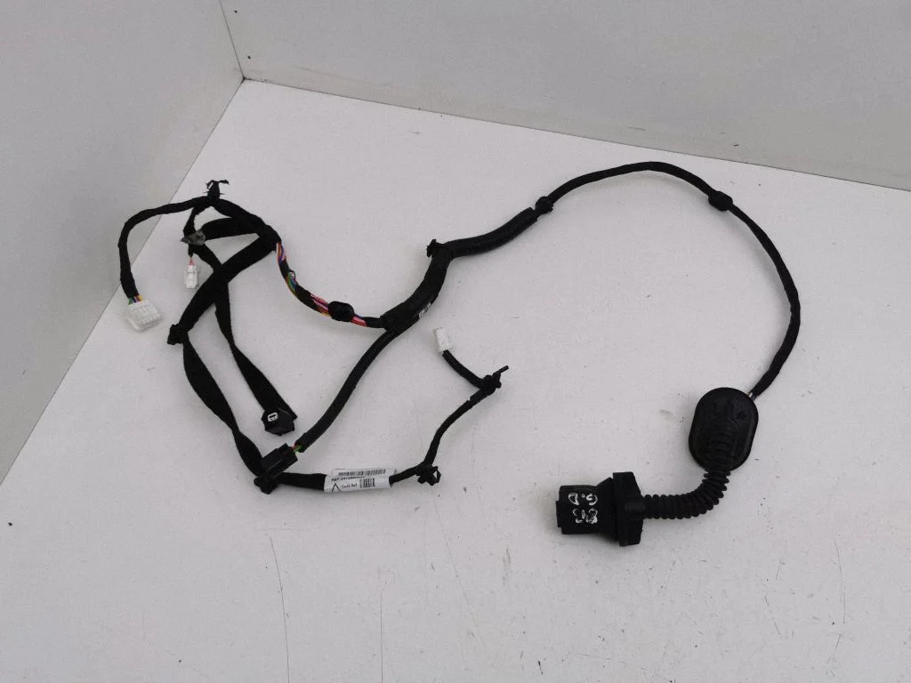 Rear door wiring loom 241266PA3C