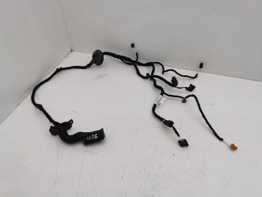 Rear door wiring loom