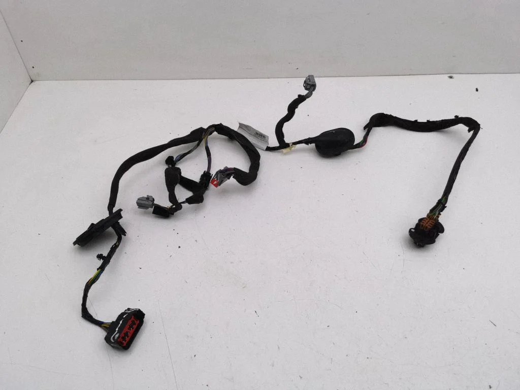 Rear door wiring loom D30795065003