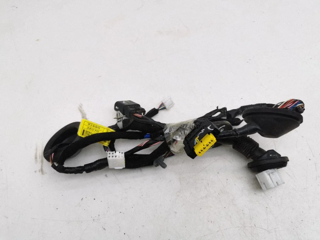 Tagaukse juhtmestik 916603Z070