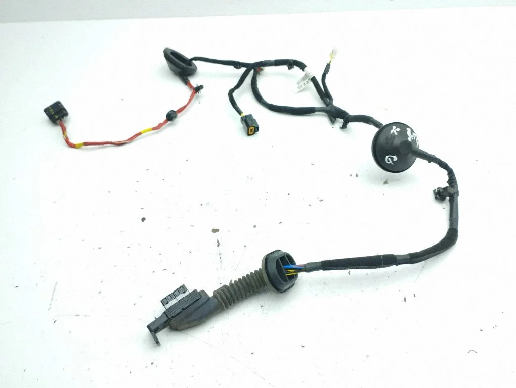 Tagaukse juhtmestik 91620J7020