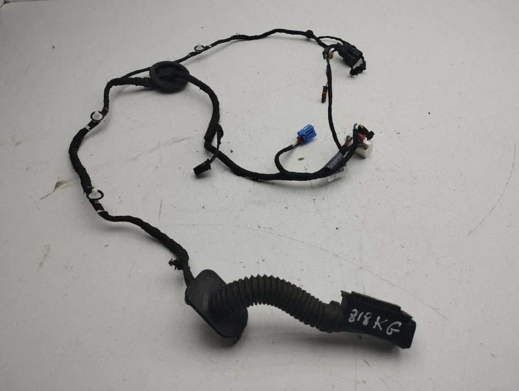 Rear door wiring loom – Audi A5 (2016-2024)