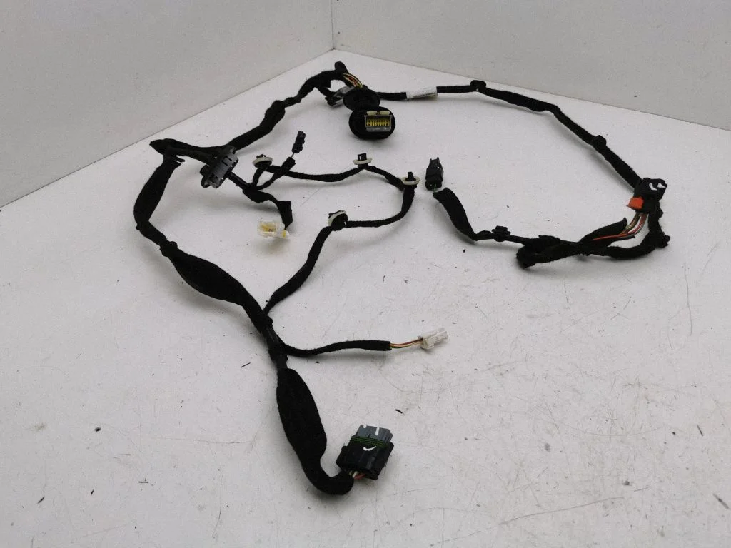 Rear door wiring loom 9806361880