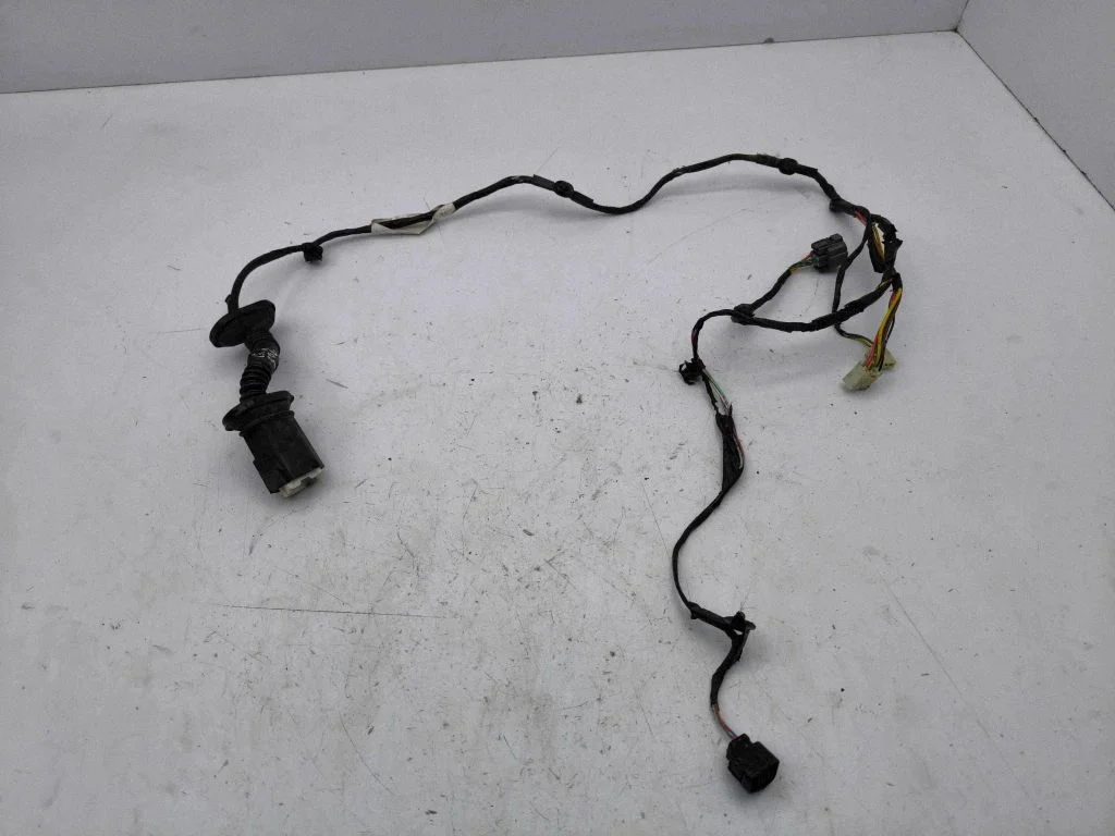 Rear door wiring loom – left