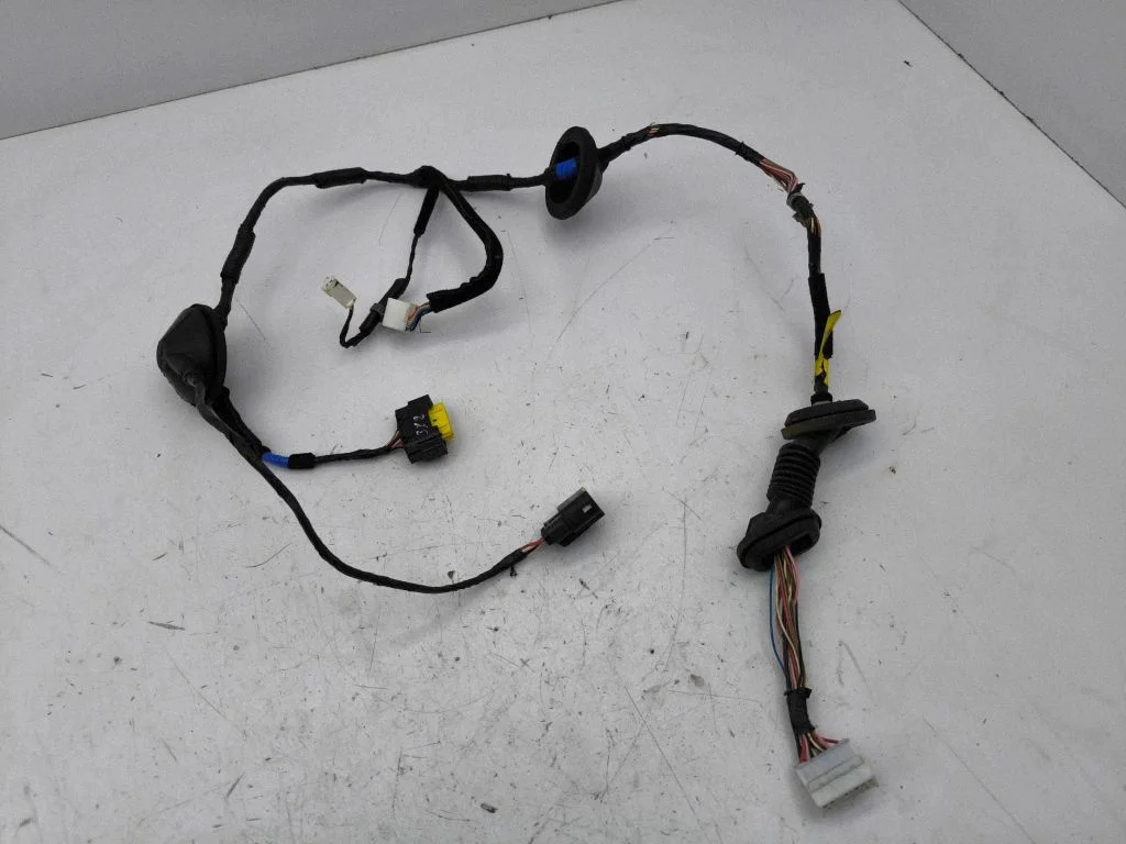 Rear door wiring loom – right