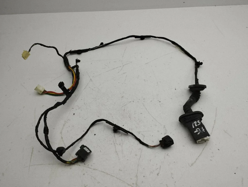 Rear door wiring loom 8609915