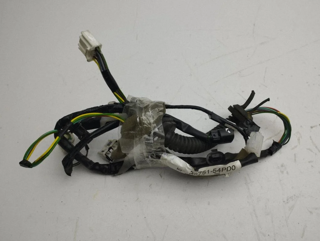 Rear door wiring loom 3675154PD0