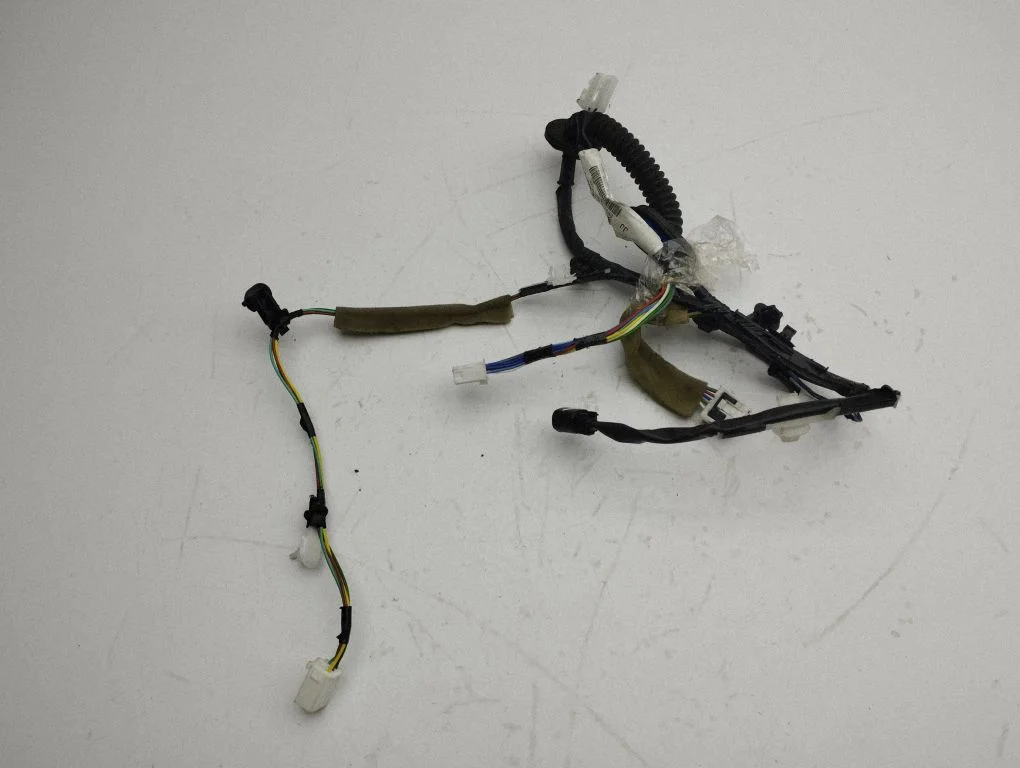 Rear door wiring loom 3675154P30