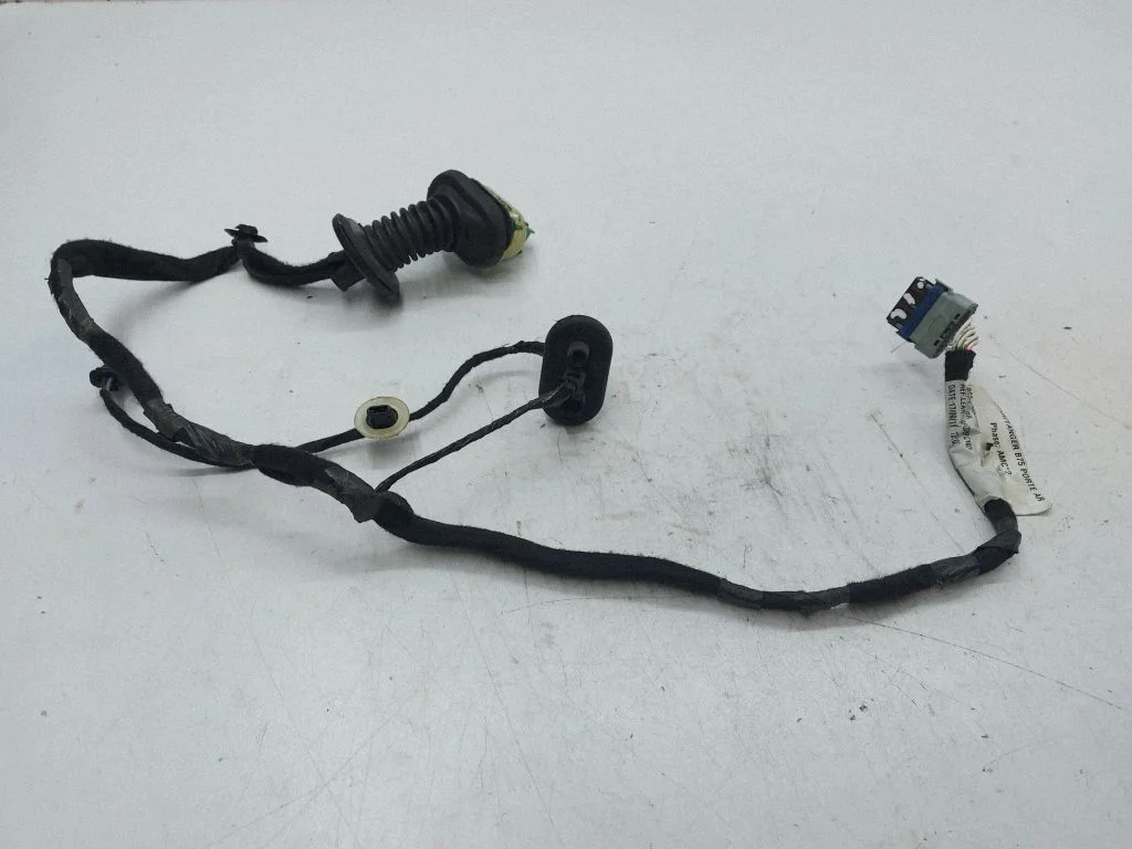 Rear door wiring loom 9677609380