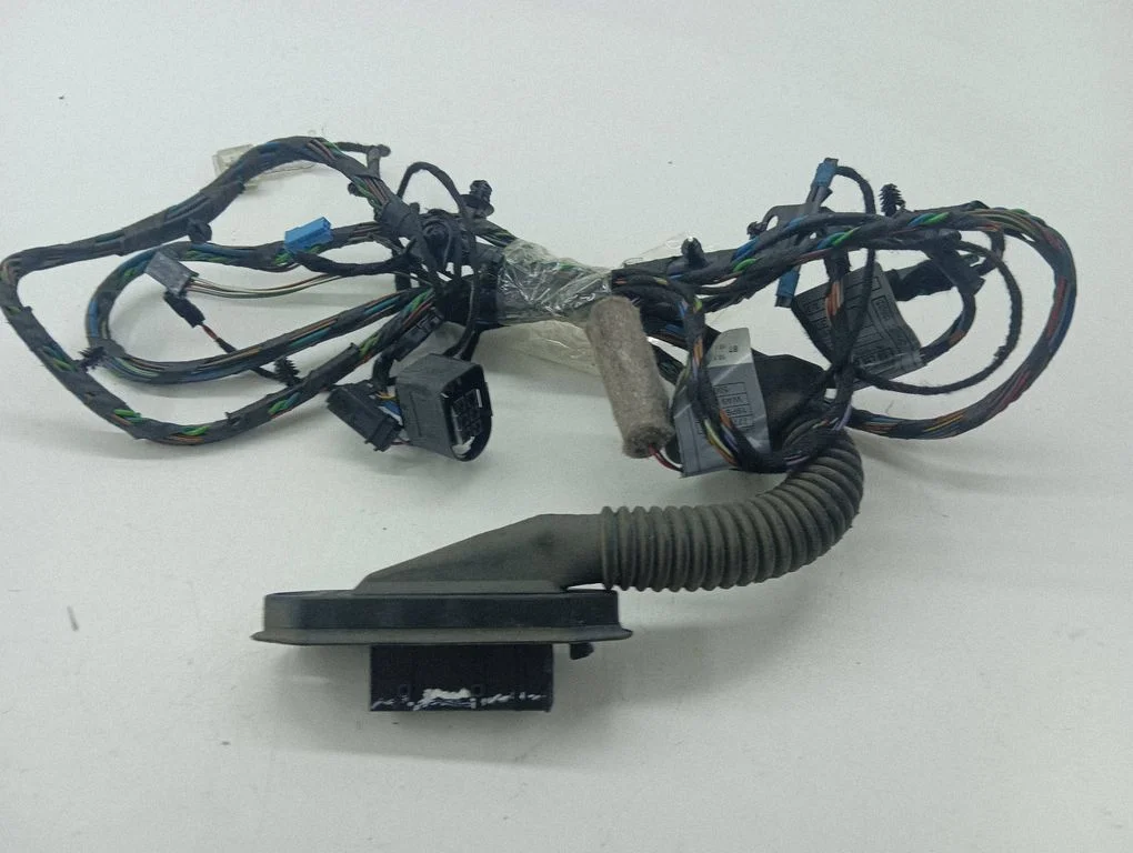 Rear door wiring loom 140107