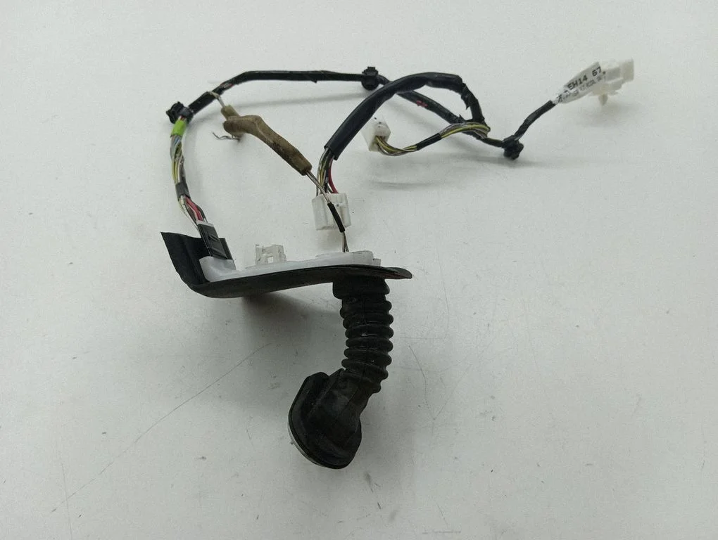 Rear door wiring loom EH1467210