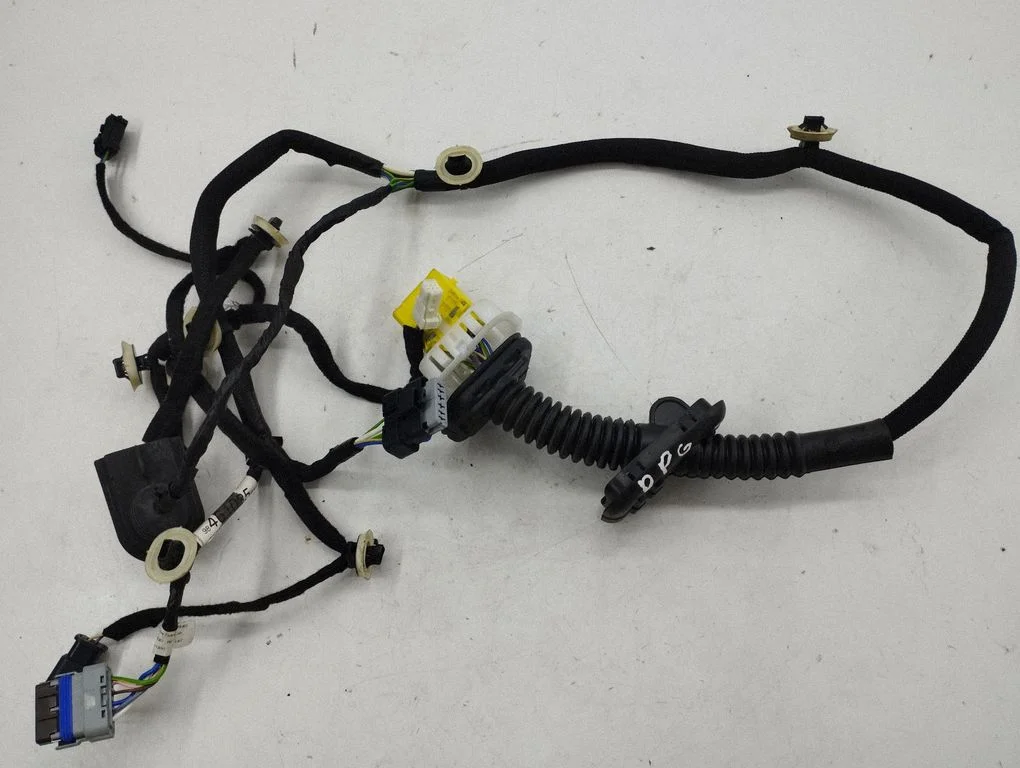 Rear door wiring loom 983245068001